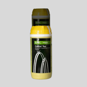 Cabrio Top – Fungicide (Metiram 55% + Pyraclostrobin 5%)