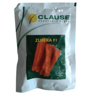 Zubera F1 – Hybrid Vegetable Seeds